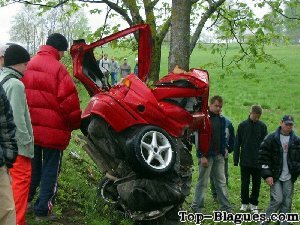 voiture autour d'un arbre