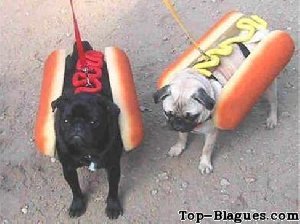 2 hot dogs