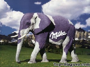 éléphant milka