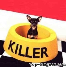 killer le chien